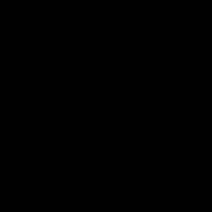 Red Strawberry shortcake crop cami